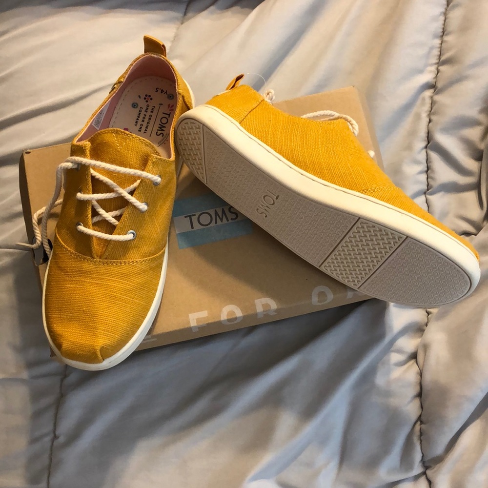 Toms Lumin Sunflower Heritage Canvas